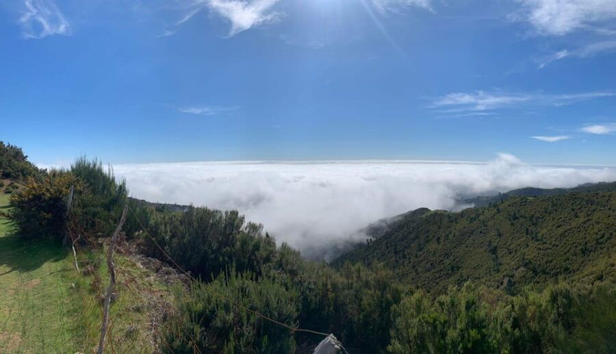 Magic Fanal Forest and Porto Moniz Lava Pool – West Side - Activity Overview