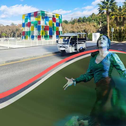 Málaga: TukTuk Tour and Flamenco Show - Overview of the Activity