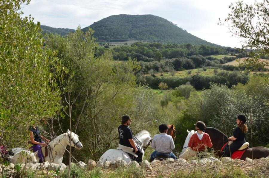Mallorca: Activity, Antique Mallorca With Picnic