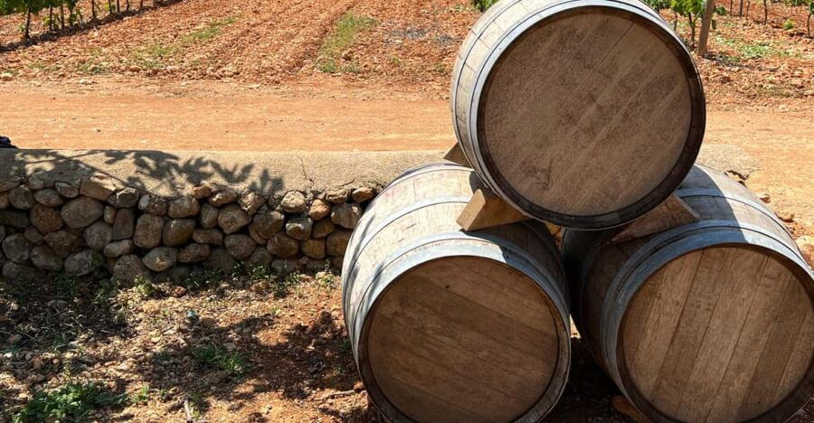 Mallorca: Discover the Secret Treasures of the Local Wine