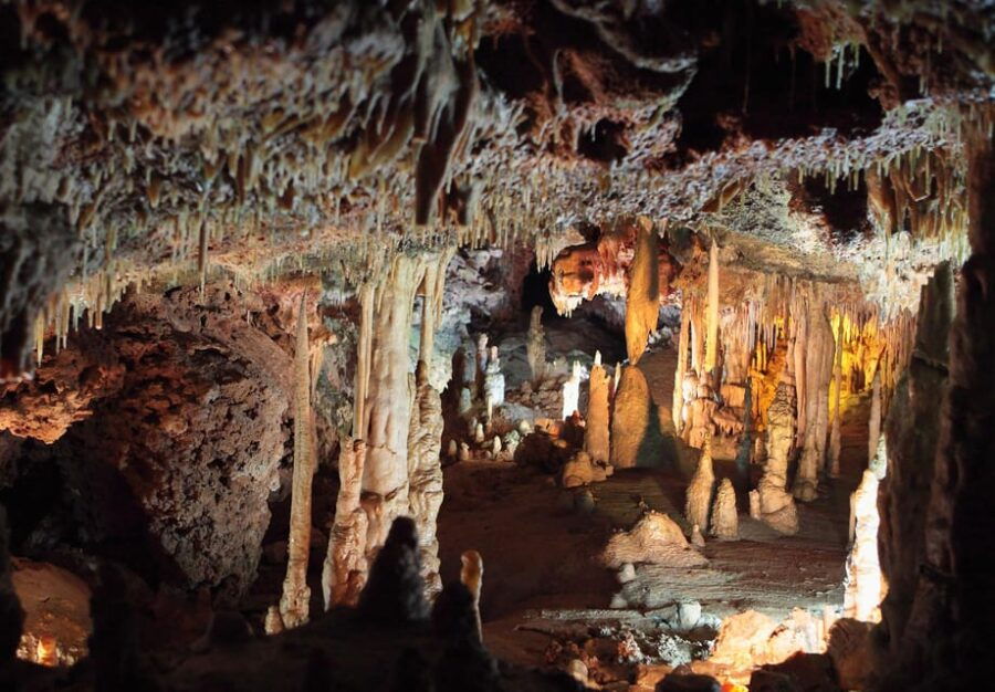 Mallorca: Drach and Hams Caves, and Porto Cristo Day Tour