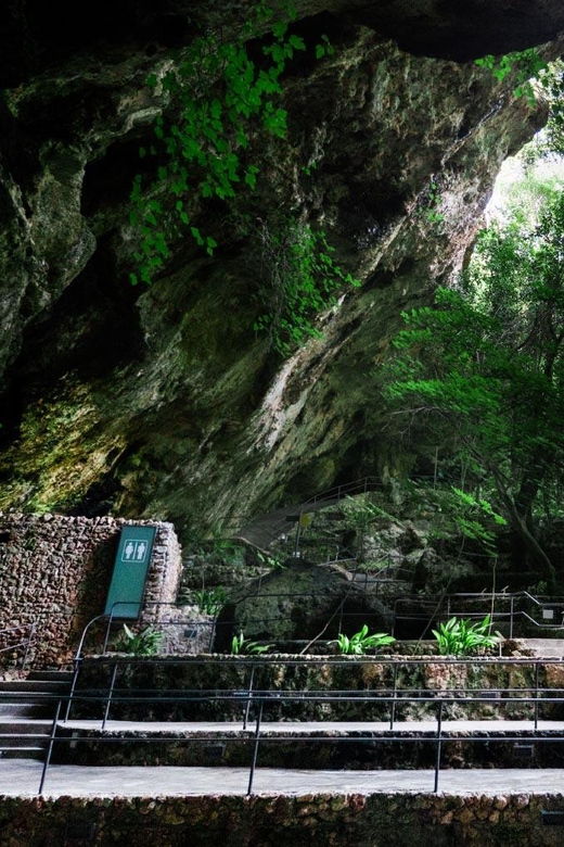 Mallorca: Drach Caves, Lake Martel, & Pearl Factory Day Trip - Tour Overview and Pricing