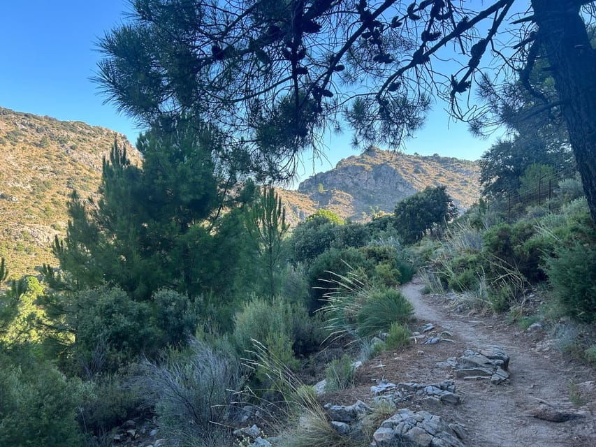 Marbella: La Concha Mountain Tour Including Snack and Drink