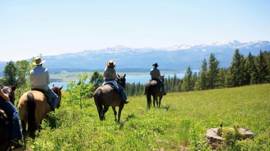 Marmaris Horse Safari