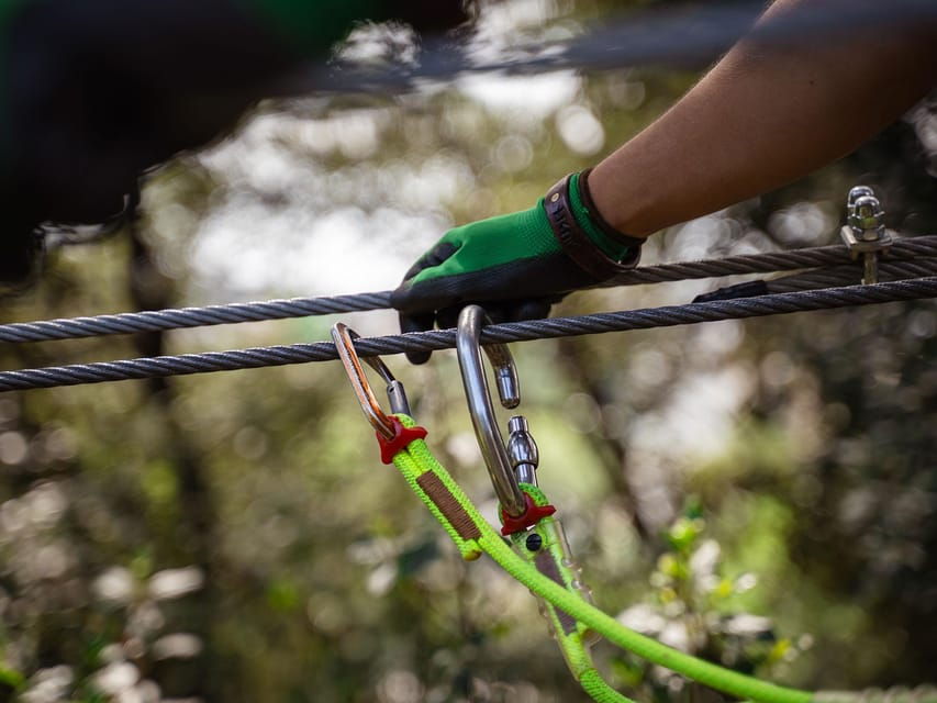 Marseille: Ecopark Adventures Treetop Adventure
