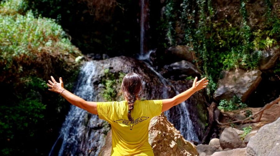 Maspalomas: Barranco De Los Cernicalos Rainforest Hike
