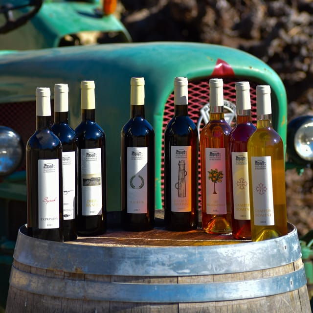 Massmamier La Mignarde: Wine Tasting - Overview of Massmamier La Mignarde