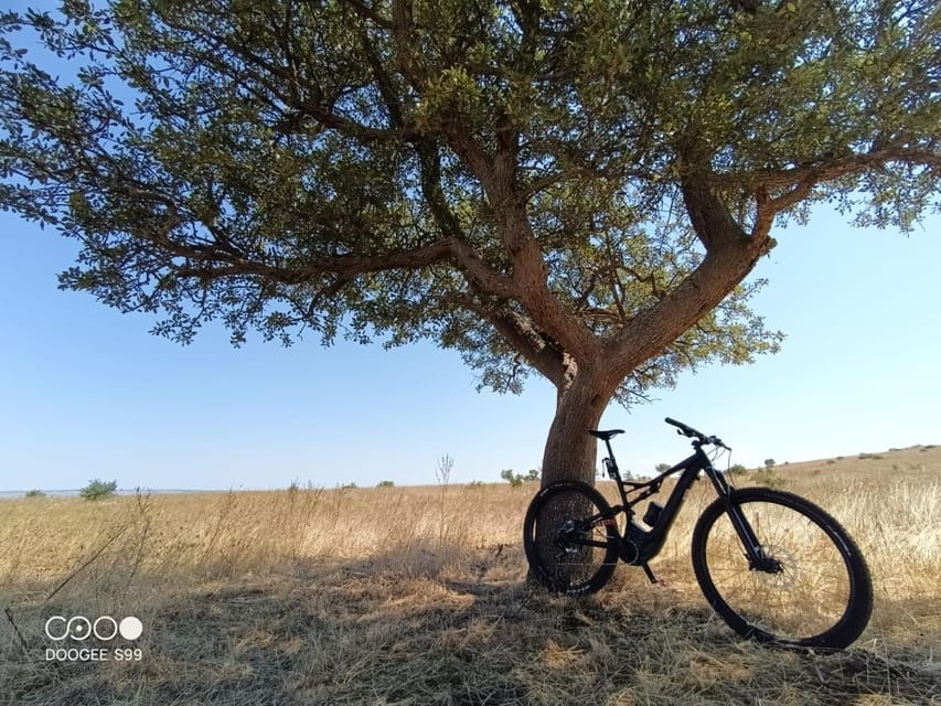 Materas Electric Bike Rentals: Effortless Exploration - Overview of Rentals