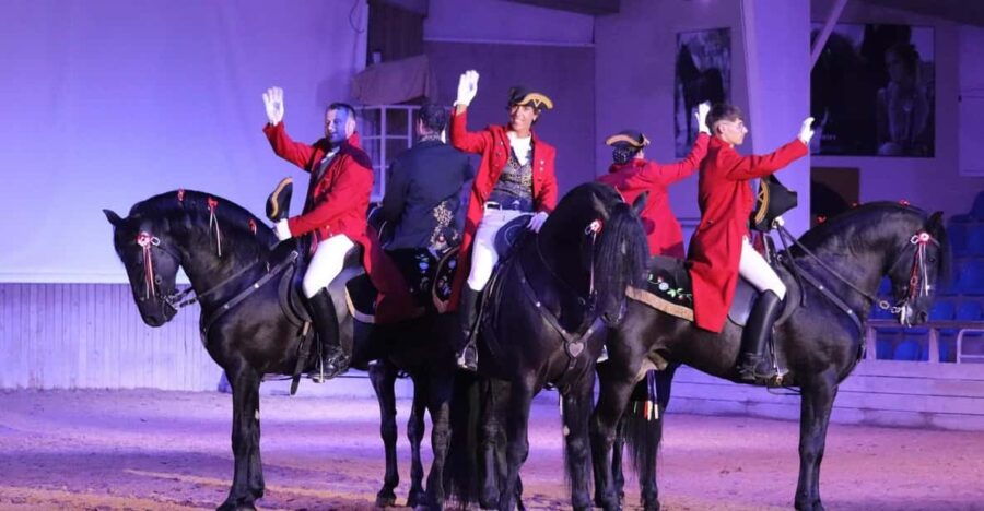 Menorca: San Martorellet Equestrian Show Tickets