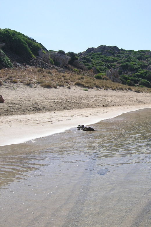 Menorca: Taxi-Boat From Es Grau to Colom Island - Activity Overview