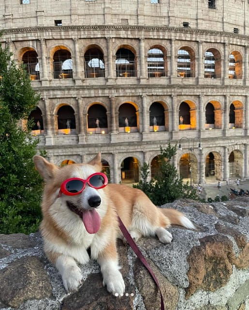 Mini Group! Tour the Colosseum, Palatine Hill, Roman Forum - Tour Overview