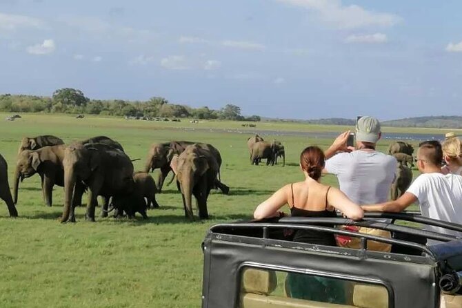 Minneriya Safari Tour From Sigiriya
