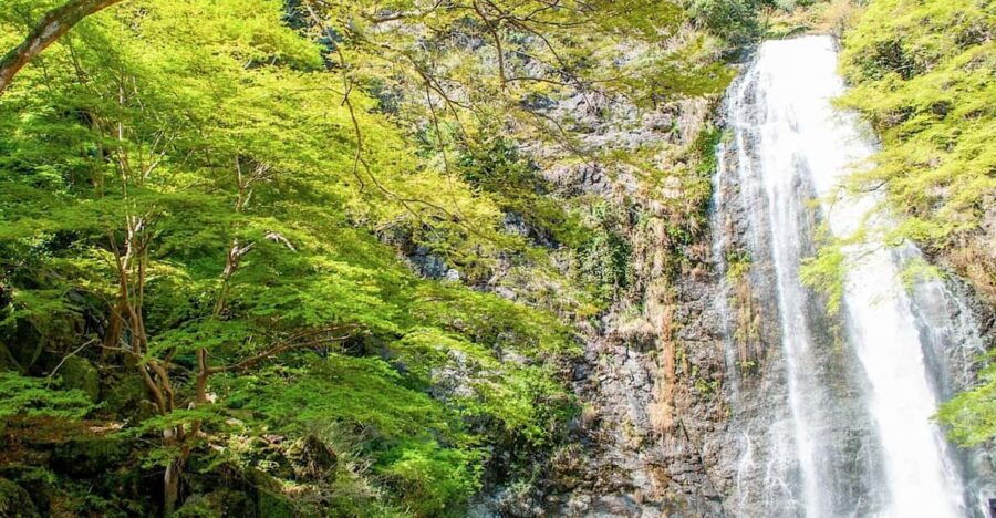 Minoo Park: Guided Nature Walk - Tour Overview and Pricing