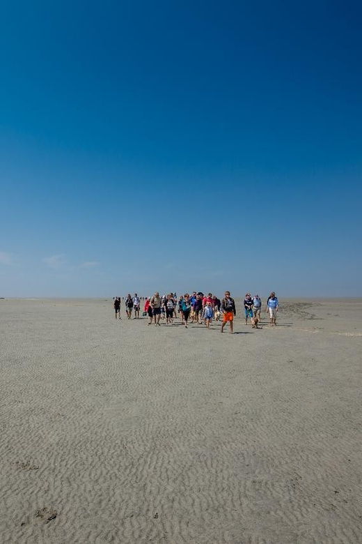 Mont Saint-Michel : Walk With an English-Speaking Guide