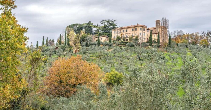 Monteleone Sabino: EVOO Tasting Experience, PVT Convent Tour