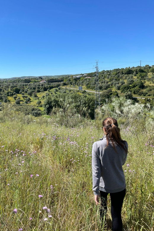 Montemor-O-Novo: Guided Hiking Tour With Lunch - Tour Overview