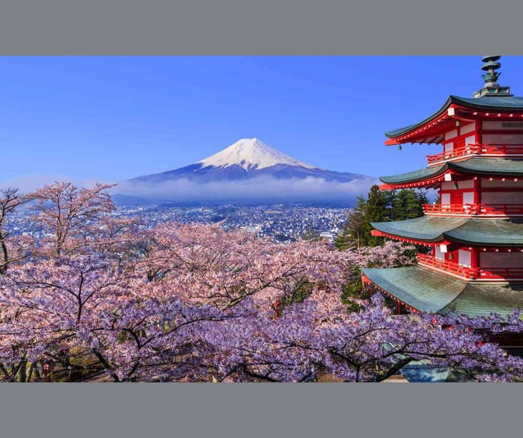 Mount Fuji and Hakone Private Tour English Speaking Driver