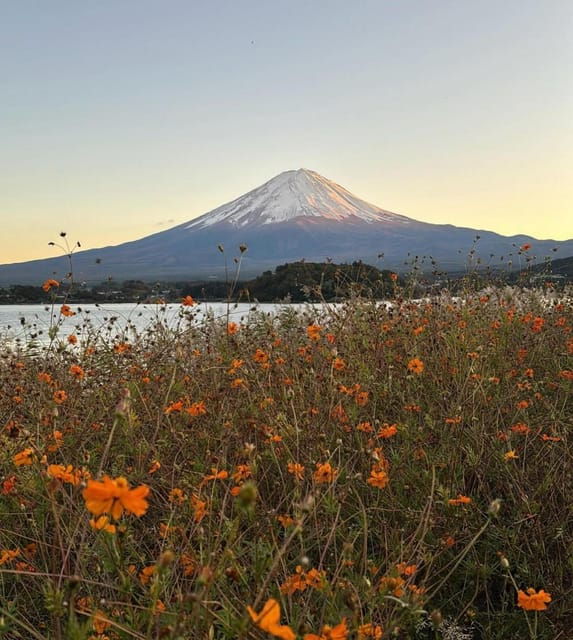 Mount Fuji Customizable Day Tour With English Guide
