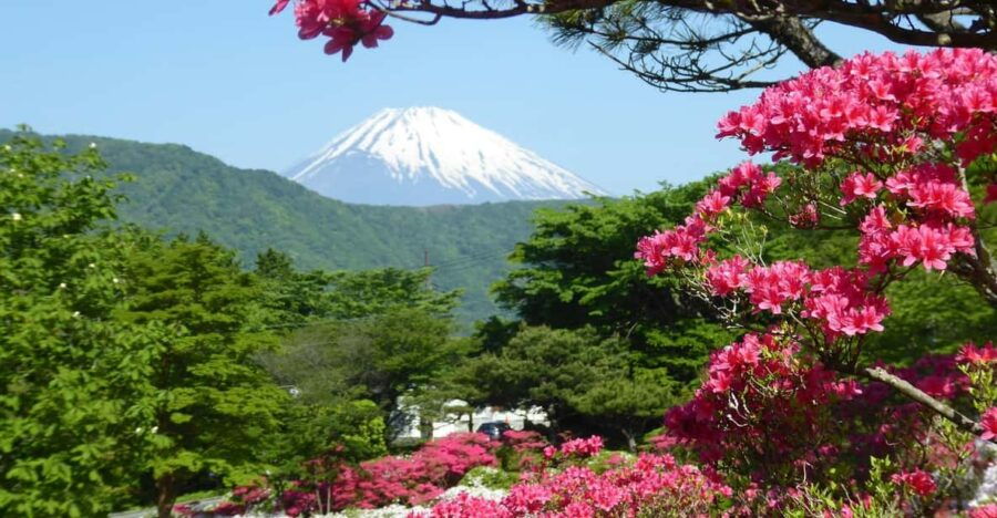 Mount Fuji & Hakone Tour - Tour Overview