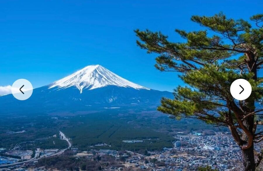 Mount Fuji Sightseeing Private Tour English Speaking Guide