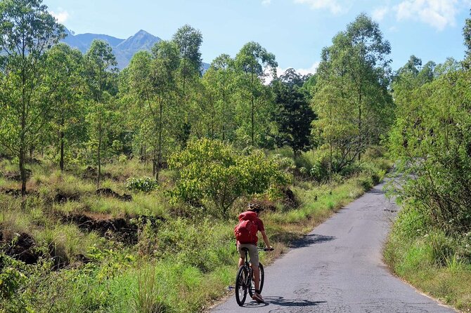 Mountain Bicycle Rental at Mount Batur