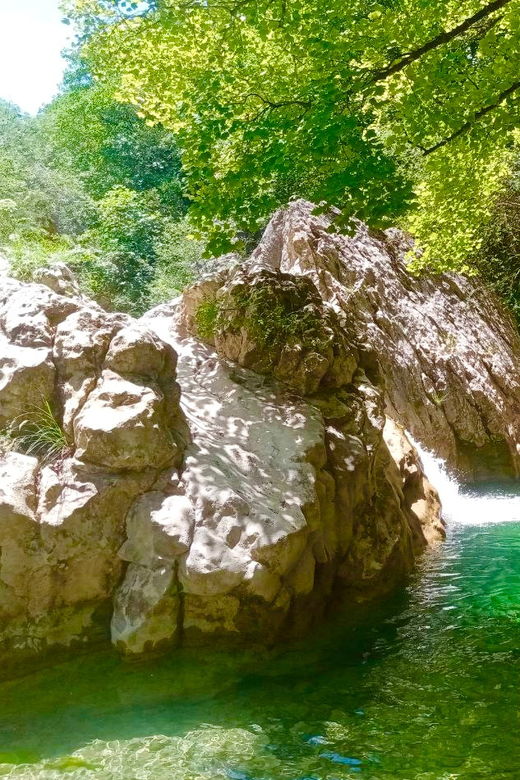 Mountain Train Experience Hiking & Mystic Forest (From Nice) - Pricing and Reservations