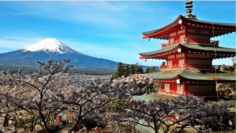 Mt. Fuji & Hakone: Exclusive Day Trip From Tokyo