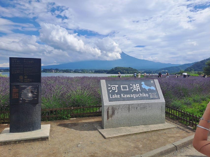 Mt. Fuji: Private Tour With English Guide