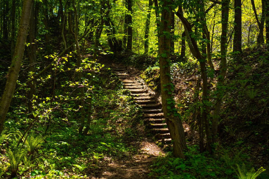 Mt. Usu: Hike to the Crater and See the Stunning Lake Toya!