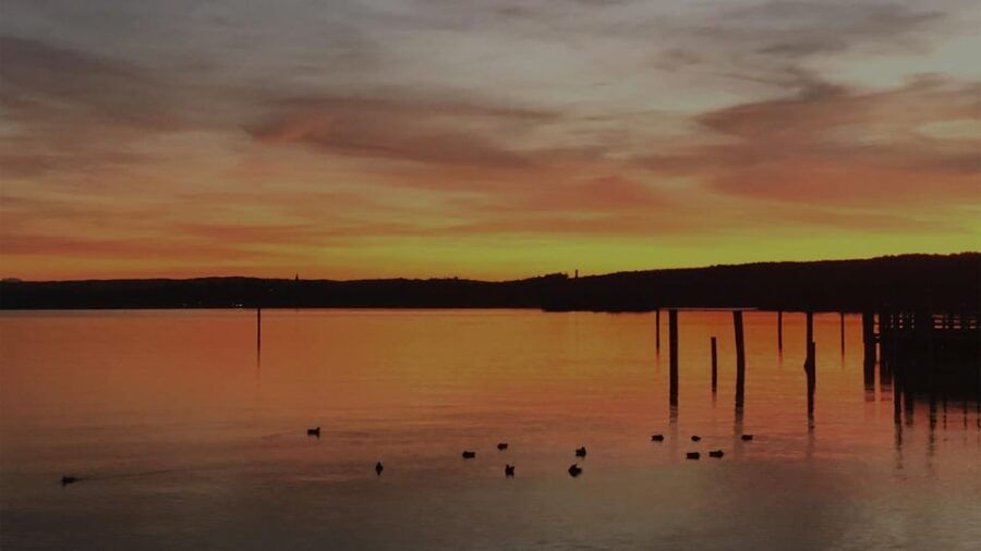 Munich: Private Guided Tour to Ammersee - Tours + Lunch - Tour Overview and Pricing