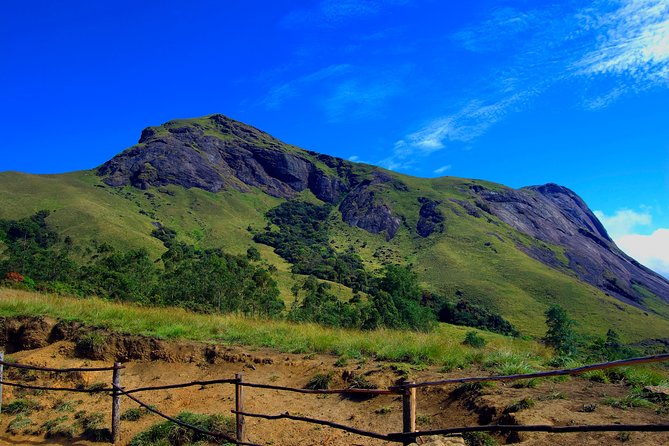 Munnar Excursion From Cochin (1n/2d)