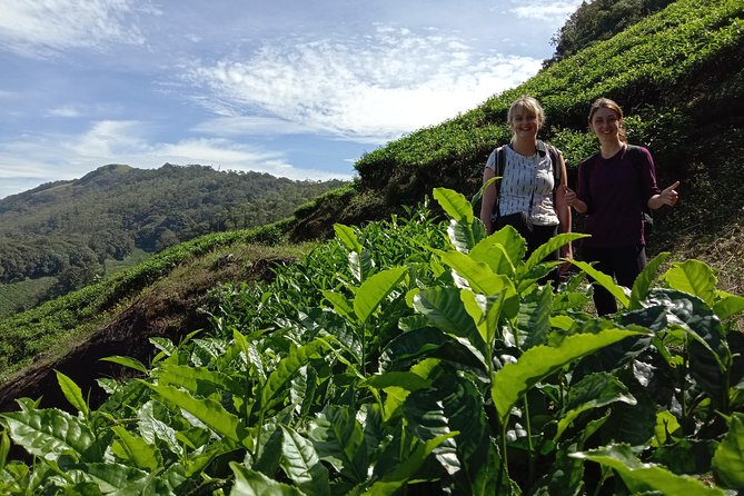 Munnar Trekking (Amazing Munnar Adventure Tours)