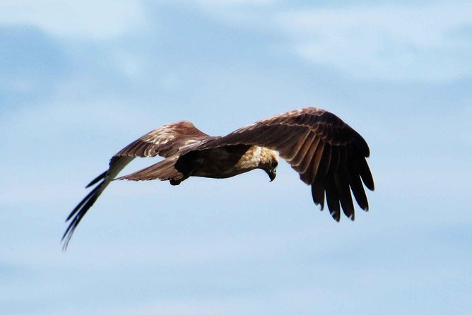 Muthurajawela Bird Watching Boat Tour - Location