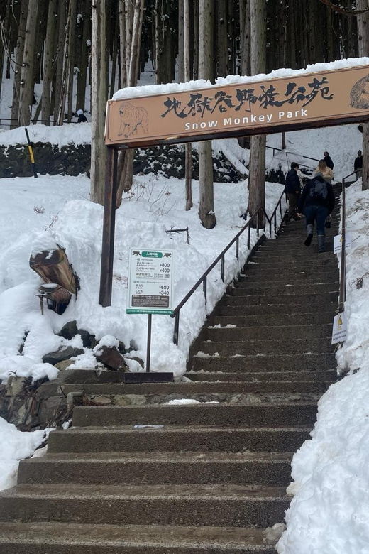 Nagano: Snow Monkey Park, Zenkoji One Day Private Tour