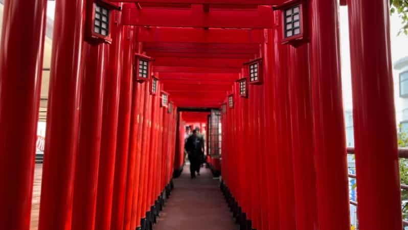 Naha: Guided E-Bike Tour of the 12 Zodiac Temples - Key Highlights of the Route