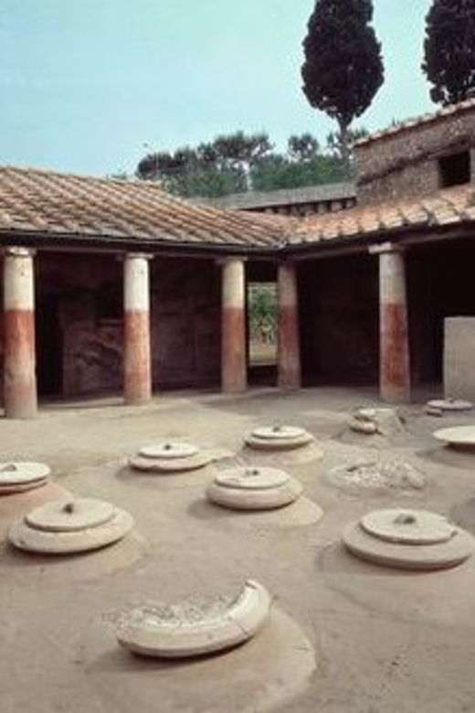 Naples: Stabia, Oplontis, Boscoreale Antiquarium PrivateTour