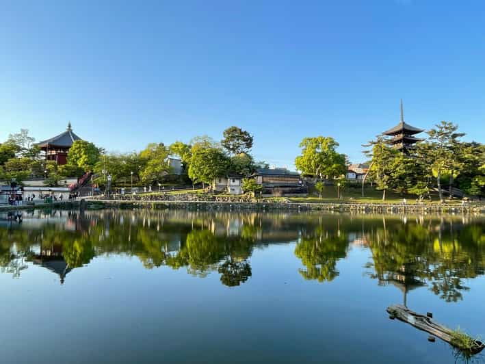 Nara: 1 Day Local Guide– Big Buddha, Deer, Shrine, Old Town - Tour Overview and Pricing