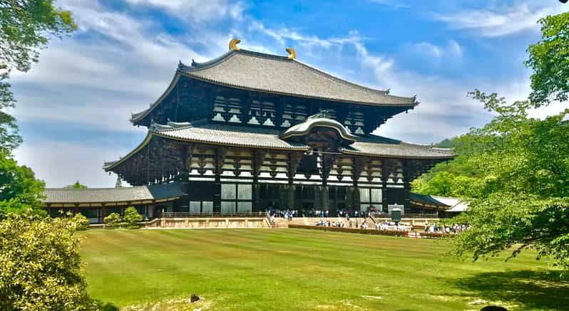 Nara PRIVATE TOUR: Todai-ji and Nara Park (Spanish Guide)