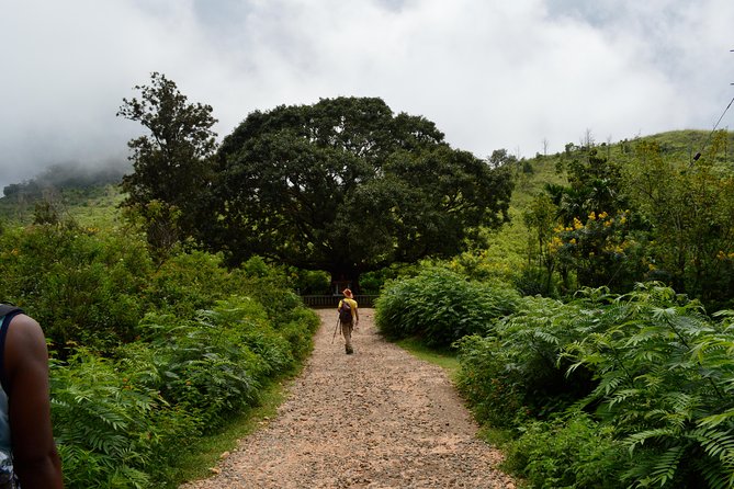 Nature Trekking Tour in Ella - Price Information