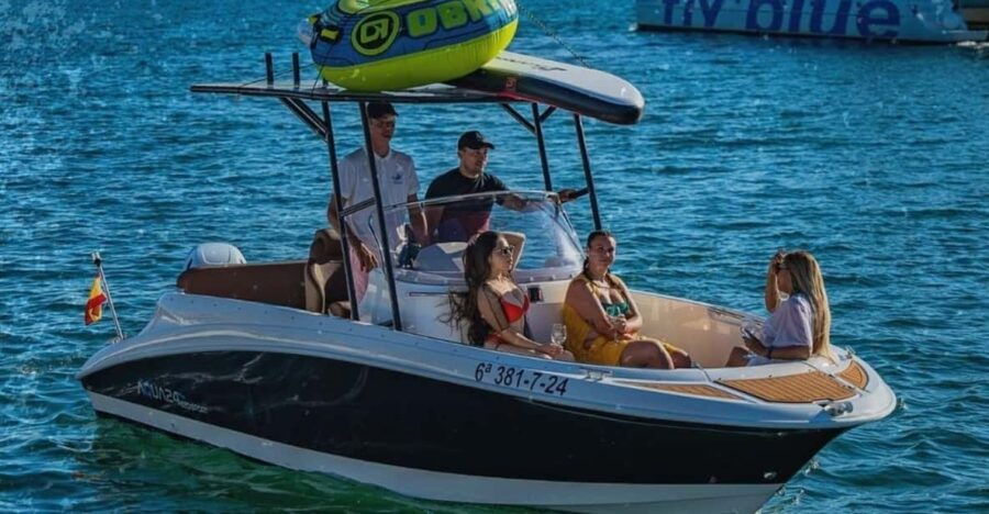 New Boat Trip in Puerto Banús With Friends, Family. Dolphins