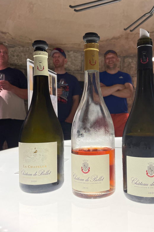 Nice: Bellet Vineyards E-Bike Tour With Wine Tasting - Overview of the Tour