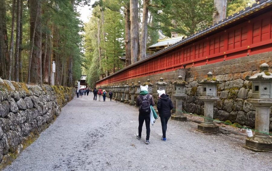 Nikko Full Day Private Tour With English Speaking Guide - Tour Overview