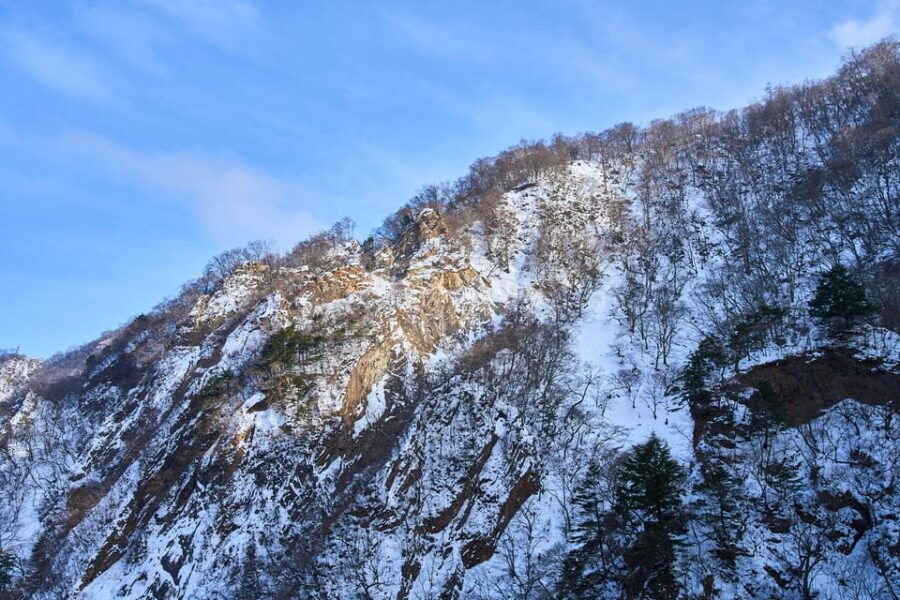 Nikko Private Day Trip: Explore Japans World Heritage - Itinerary Highlights