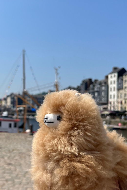 Normandy Tour: Honfleur, Etretat, Rouen by Luxury Car - Tour Overview