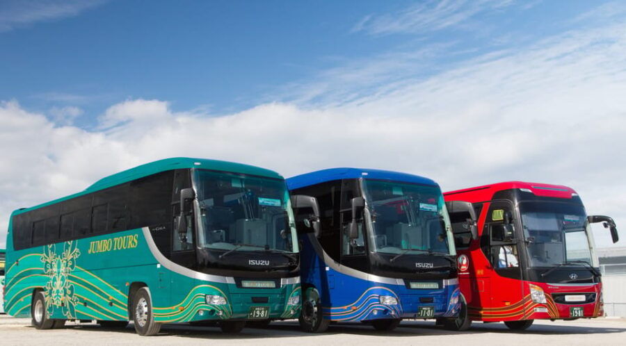 Northern Okinawa National Park Enjoyment Course【C-course】