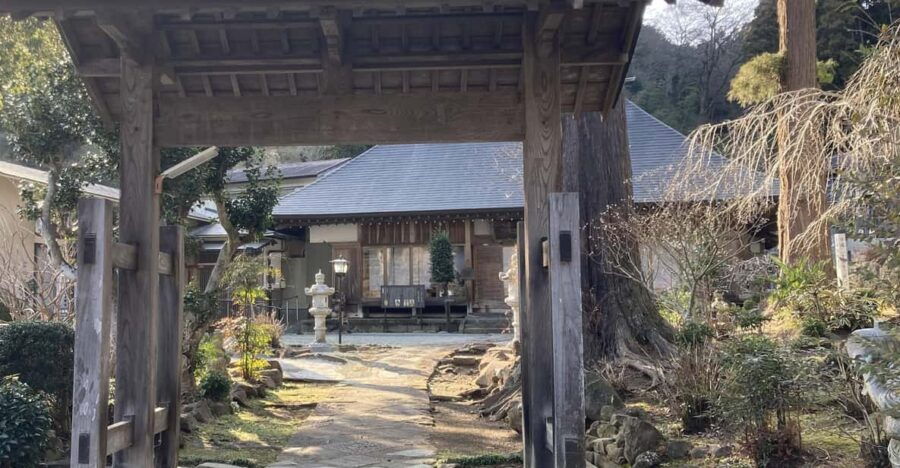 Odawara: Zazen Meditation and Tea Ceremony With Lunch