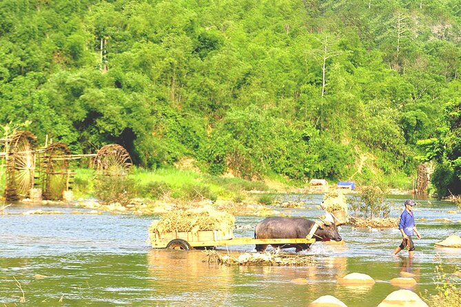 Offbeat Trekking Tour- Pu Luong Nature Reserve 2 Days From Hanoi - Tour Details