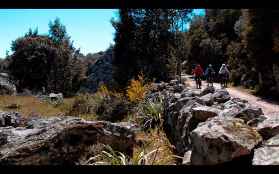 3 Best Bike Tours In San Pantaleo