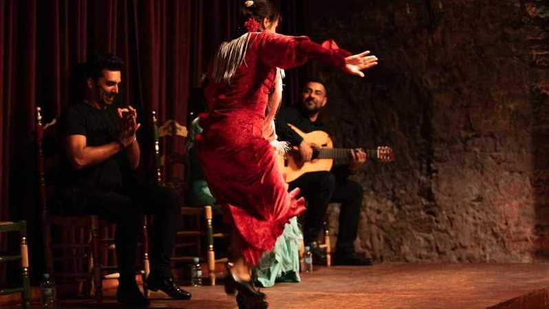 Old Tow Flamenco Show & Born Tapas Tour - Overview of the Experience