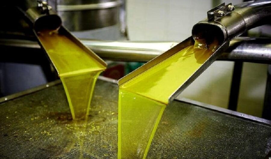 Olive Oil Tasting 3-Hour Trip From Chania Souda Cruise Port - Overview of the Trip